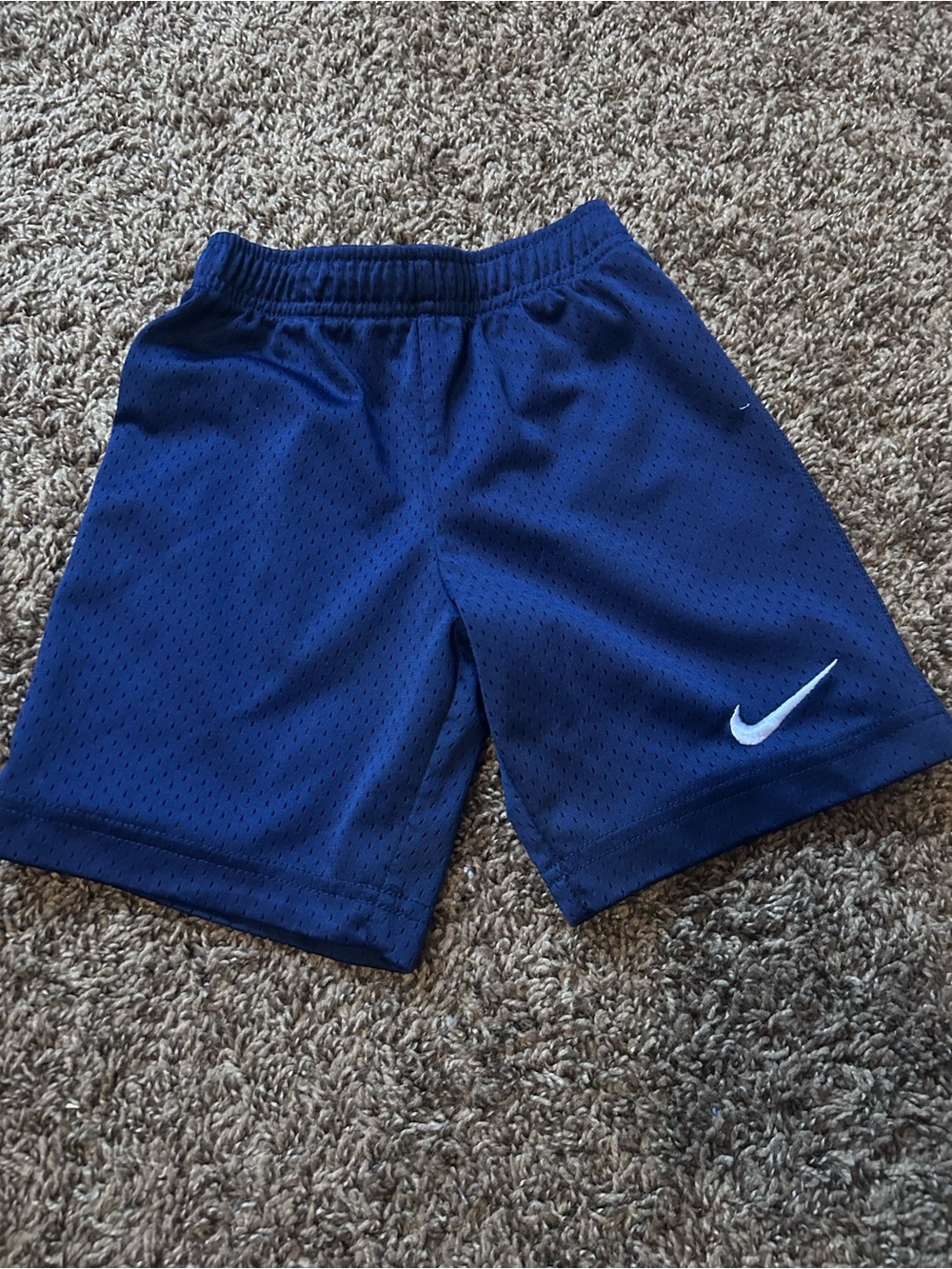 Nike Royal Blue Mesh Athletic Shorts with White Swoosh